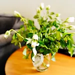 Dwor Karwacz Bed & Breakfast Przasnysz