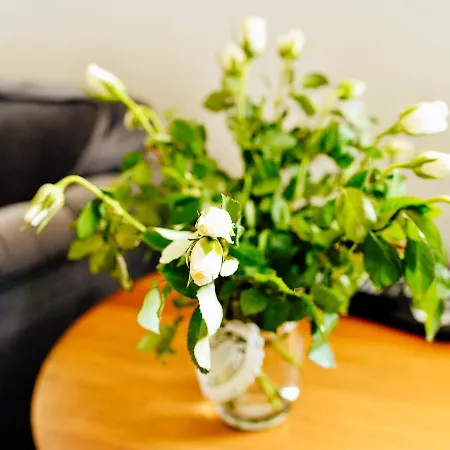 Dwor Karwacz Bed & Breakfast Przasnysz