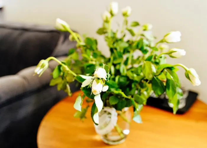 Dwór Karwacz Nocleg ze śniadaniem Przasnysz